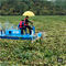 0.6m Water Weed Harvester Boat Aquatic Weed Cutting Machine